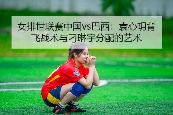 nv-pai-shi-lian-sai-zhong-guo-ba-xi-yuan-xin-yue-bei-fei-zhan-shu-yu-diao-lin-yu-fen-pei-de-yi-shu-2-962.jpg