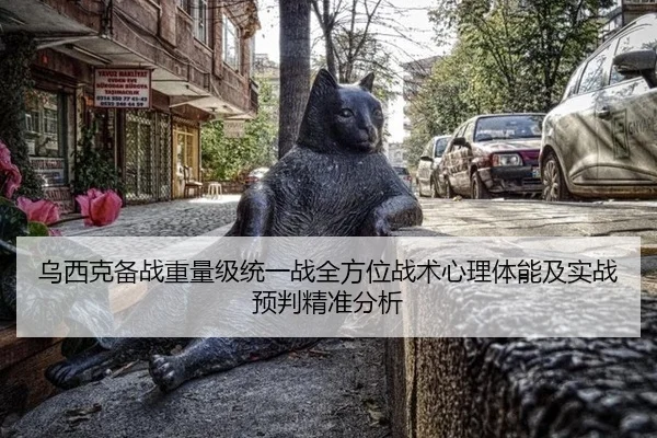 乌西克备战重量级统一战全方位战术心理体能及实战预判精准分析