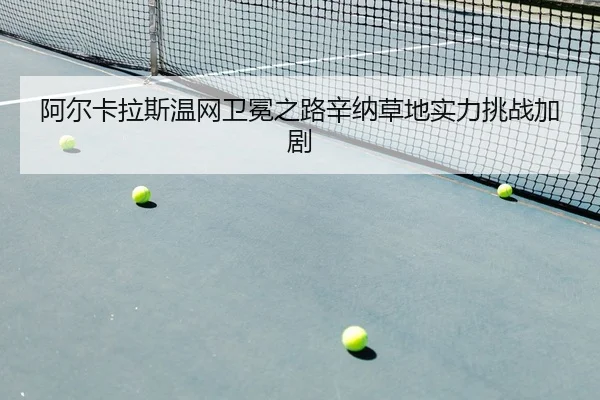 a-er-ka-la-si-wen-wang-wei-mian-zhi-lu-xin-na-cao-di-shi-li-tiao-zhan-jia-ju-2-409.jpg