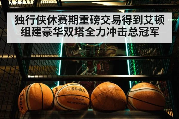 独行侠休赛期重磅交易得到艾顿组建豪华双塔全力冲击总冠军