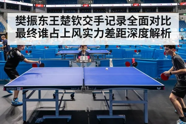 樊振东王楚钦交手记录全面对比最终谁占上风实力差距深度解析