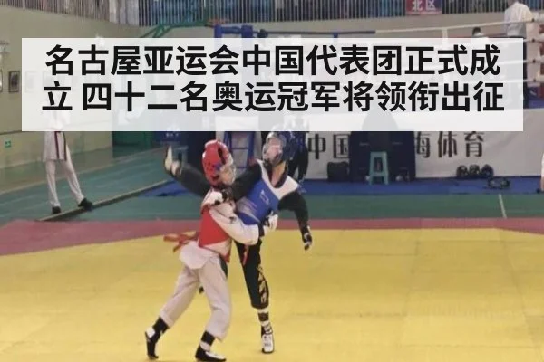 名古屋亚运会中国代表团正式成立 四十二名奥运冠军将领衔出征
