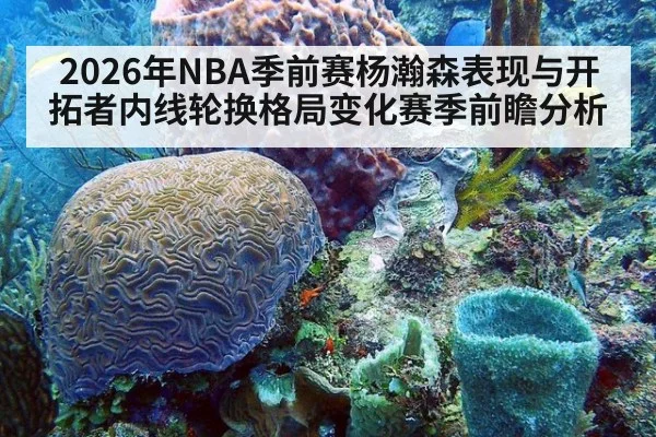 2026年NBA季前赛杨瀚森表现与开拓者内线轮换格局变化赛季前瞻分析